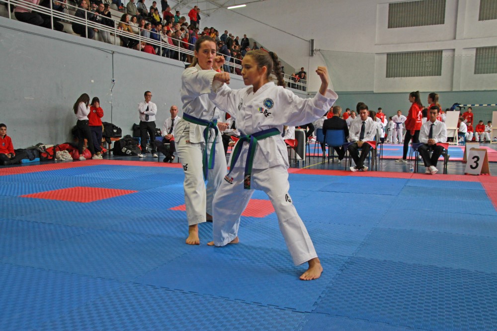 III Copa Seúl (87).jpg